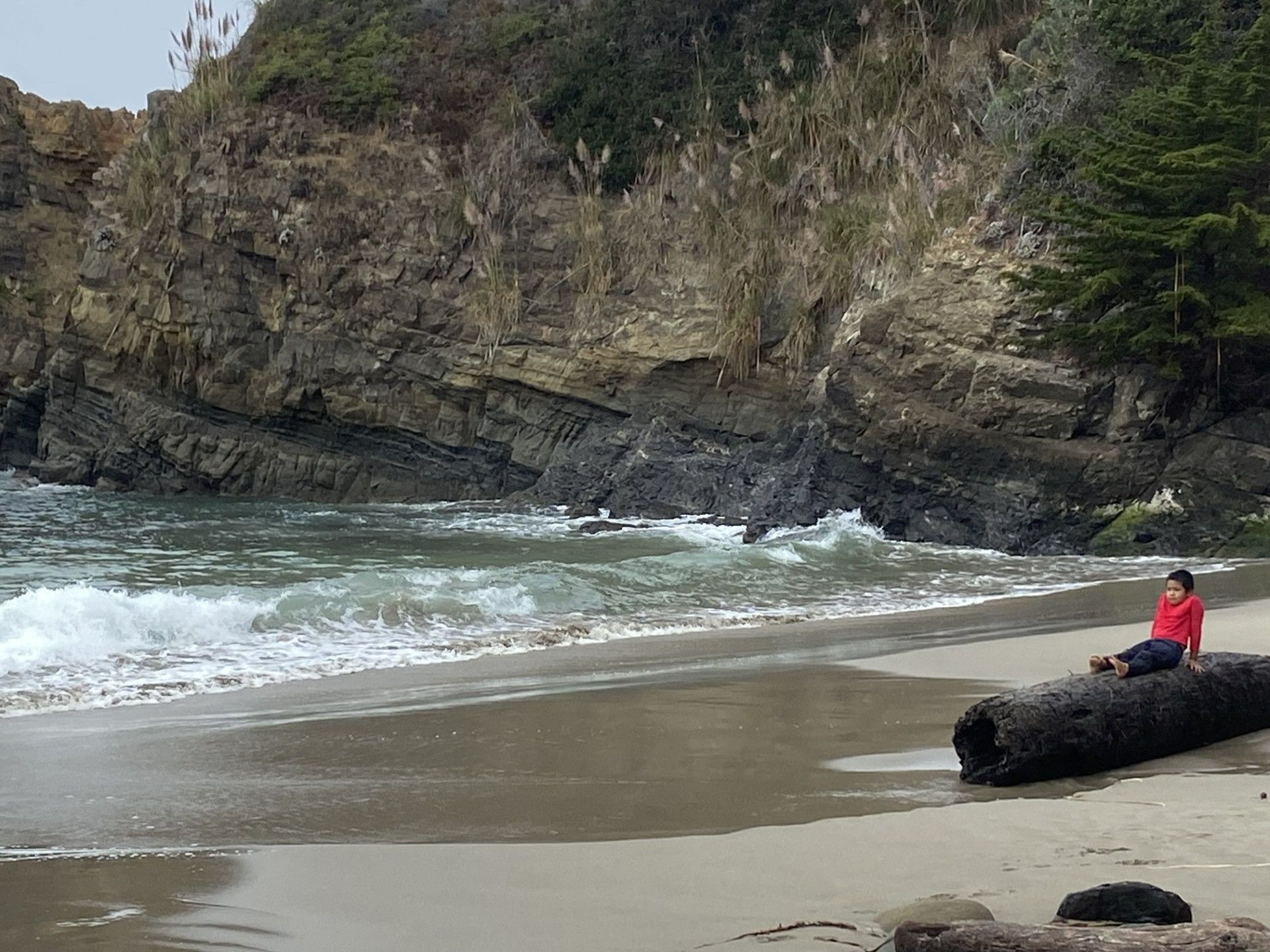 Beach and fishing boat field trip